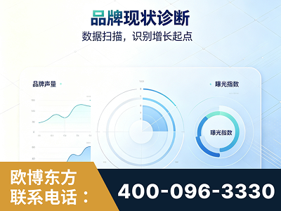辉县-品牌现状诊断