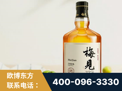 辉县-梅见青梅酒